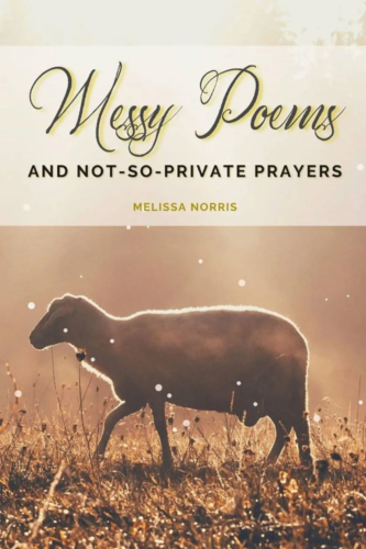 messy-poems-melissa-norris