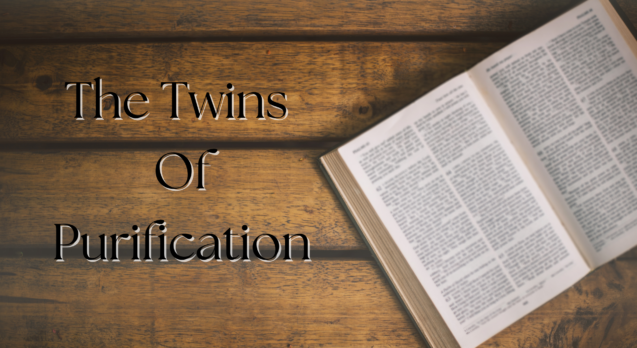 The Twins Of Purification